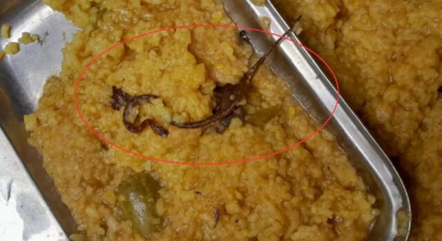 बड़ी खबर : मिड डे मील में मिला सांप, 100 से अधिक बच्चों ने खाया खाना