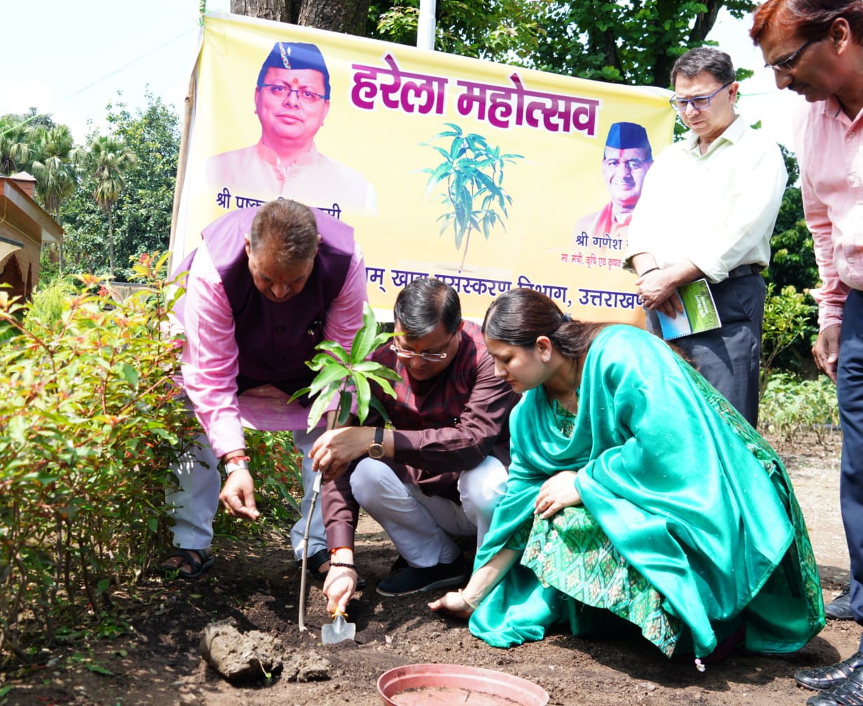 सीएम धामी ने दी हरेला पर्व की बधाई, मुख्यमंत्री आवास में लगाया खास प्रजाति का पौधा