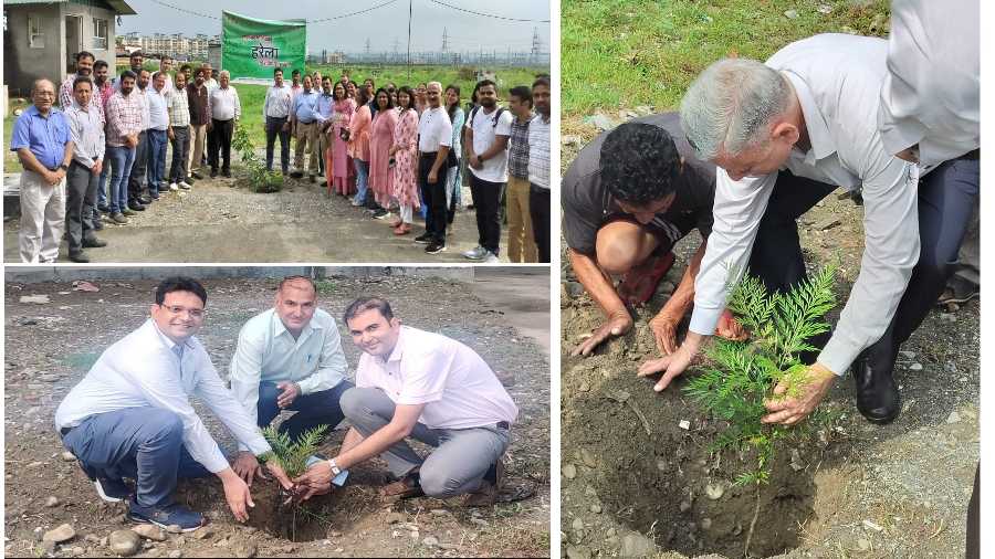 डॅा. केकेबीएम सुभारती अस्पताल परिसर में लोकपर्व ’’हरेला उत्सव’’ के अवसर पर हुआ वृक्षारोपण कार्यक्रम का आयोजन