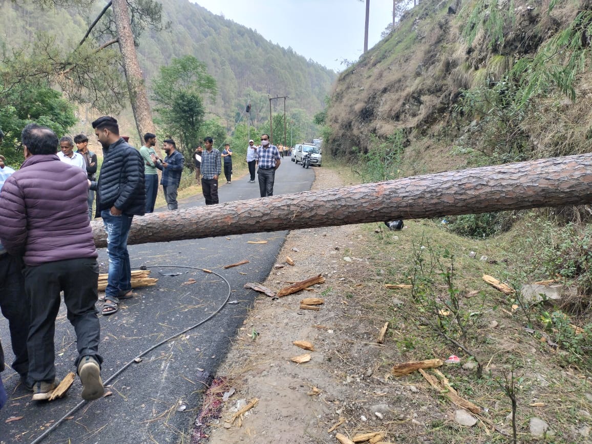 उत्तरकाशी ब्रेकिंग : आंधी से गिरा पेड़, दो लोगों की दर्दनाक मौत