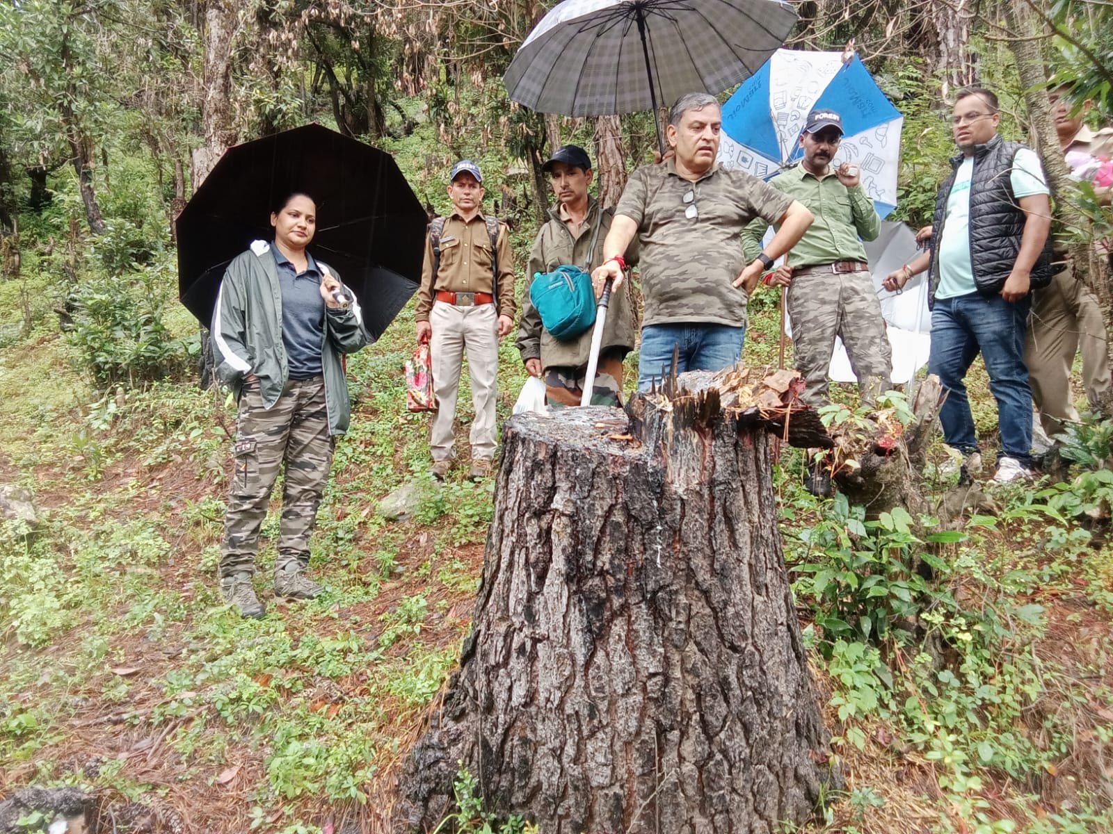 उत्तरकाशी ब्रेकिंग: फिर चर्चा में टौंस वन प्रभाग, हरे पेड़ों पर चली आरियां, वन दरोगा और रक्षक अटैच, तीन गिरफ्तार