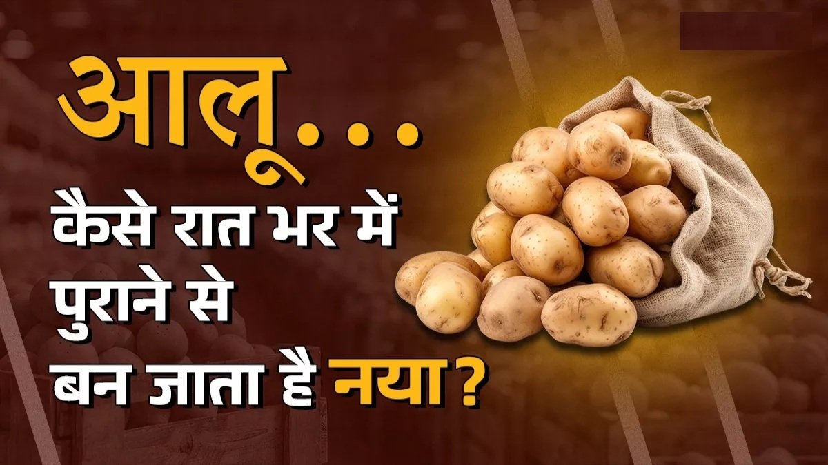 खतरनाक हुआ आलू, मुनाफाखोर पुराने को केमिकल से बना रहे नया, पढ़ें ये रिपोर्ट