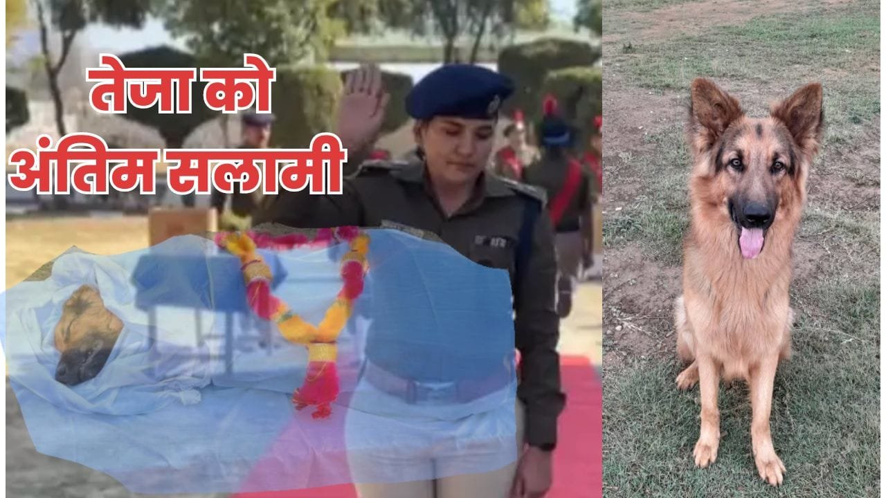 अलविदा तेजा : पिथौरागढ़ पुलिस का योद्धा, जो हमेशा याद रहेगा