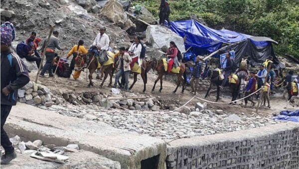 Uttarakhand : घोड़े-खच्चरों के संचालन पर 24 घंटे की रोक, 14 की संदिग्ध मौत के बाद सख्ती!