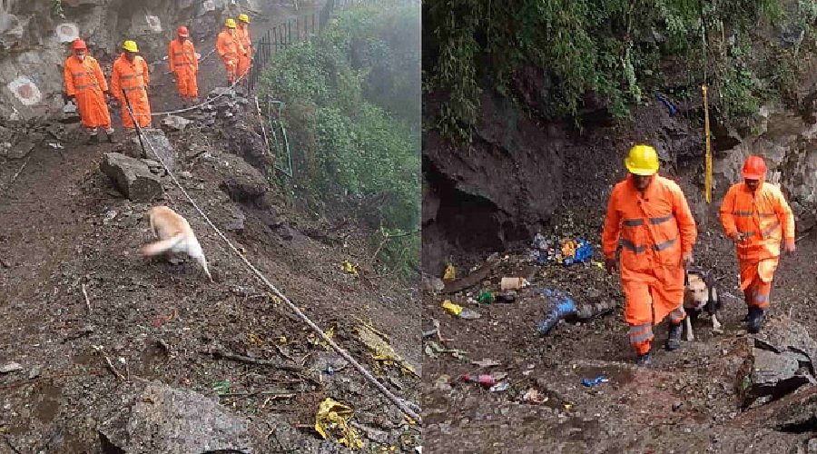 यमुनोत्री पैदल मार्ग पर रेस्क्यू अभियान तीसरे दिन भी जारी, यात्रा पर अस्थायी रोक यमुनोत्री पैदल मार्ग पर रेस्क्यू अभियान तीसरे दिन भी जारी, यात्रा पर अस्थायी रोक