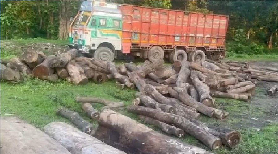 साल की लकड़ी से लदा ट्रक पकड़ा, वन विकास निगम के चार कर्मचारी निलंबित साल की लकड़ी से लदा ट्रक पकड़ा, वन विकास निगम के चार कर्मचारी निलंबित