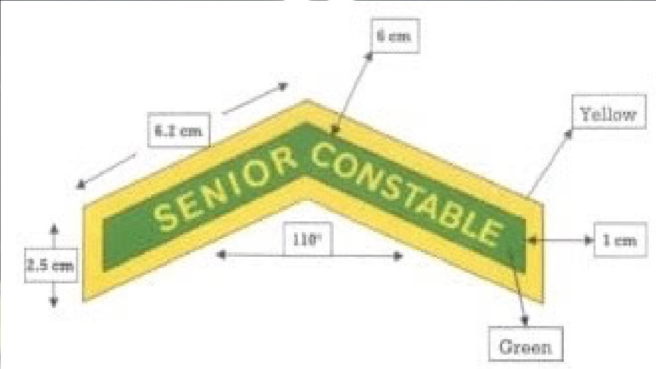 ITBP में सिपाहियों की वरिष्ठता को नई पहचान: दाहिने हाथ पर लगेगी ‘सीनियर कांस्टेबल’ की पीली-हरी ‘फीती’