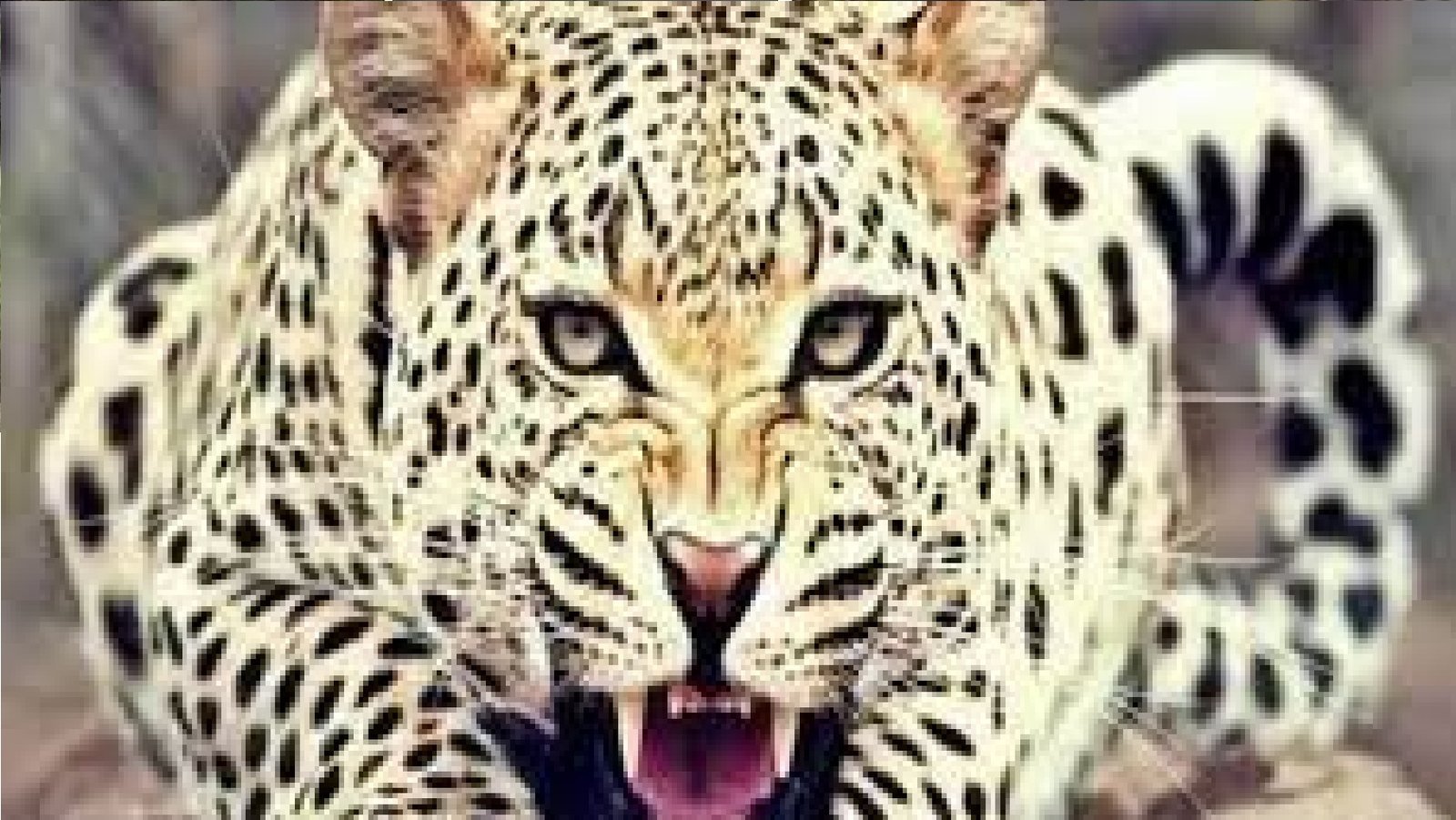 नैनीताल के धारी ब्लॉक में तेंदुए के हमले से महिला की मौत, ग्रामीणों में आक्रोश नैनीताल के धारी ब्लॉक में तेंदुए के हमले से महिला की मौत, ग्रामीणों में आक्रोश