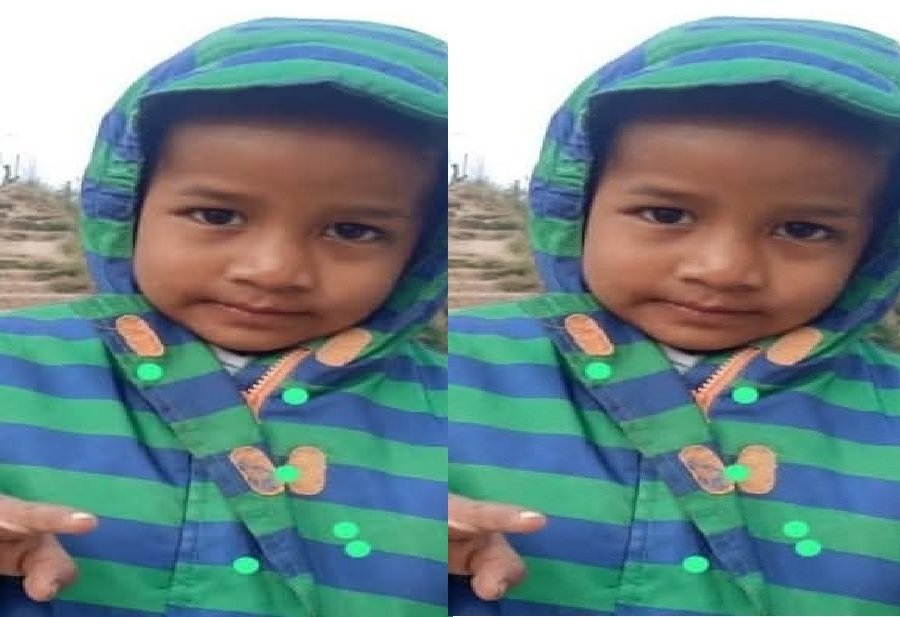 उत्तराखंड : चार साल का मासूम ‘पंकू’ लापता, चार दिन पहले मां के पीछे गया था जंगल…! उत्तराखंड : चार साल का मासूम ‘पंकू’ लापता, चार दिन पहले मां के पीछे गया था जंगल…!