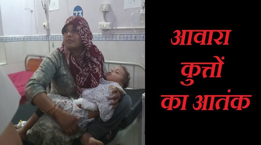 उत्तरकाशी में आवारा कुत्तों का आतंक, एक दिन में 16 लोगों पर हमला