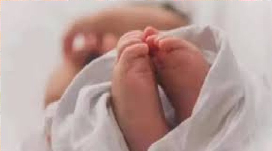 उत्तराखंड : नाले के किनारे मिला जीवित नवजात, मुंह में थी रबड़, पुलिस जांच में जुटी उत्तराखंड : नाले के किनारे मिला जीवित नवजात, मुंह में थी रबड़, पुलिस जांच में जुटी
